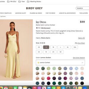 Birdy Grey Lemon Sorbet Satin Dress (Jay) Size S